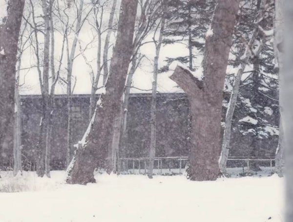 sapporokoomi with quiet, the winter harbor by mazzy star