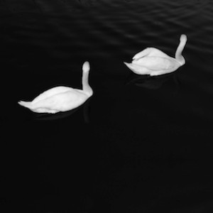 adore (cashmere cat)