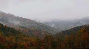 Into the Woods