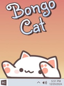 bongo cat