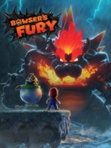 bowsers fury