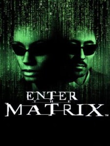 enter the matrix
