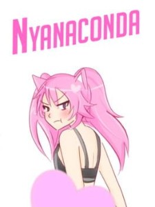 nyanaconda
