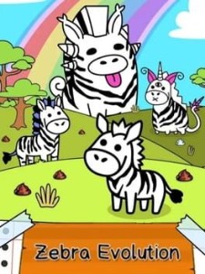 zebra evo