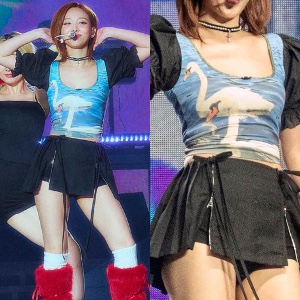 Swan Shirt