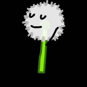 Dandy