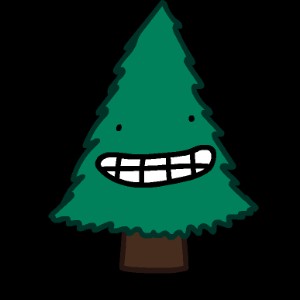 Fir