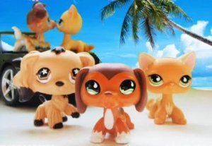 lps popular