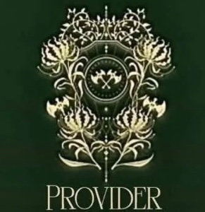 Provider