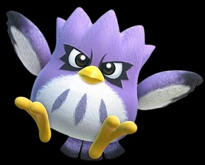Coo
