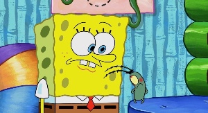 Plankbob