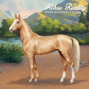 Akhal-Teke Horse