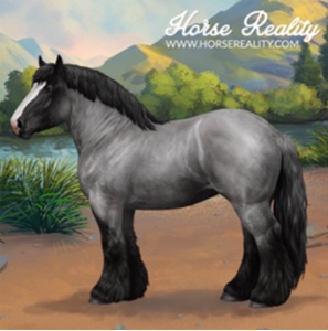 Brabant Horse