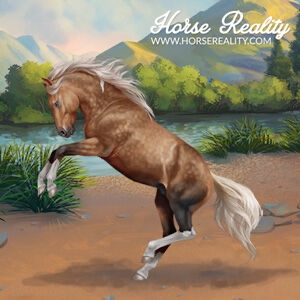 Brumby Horse