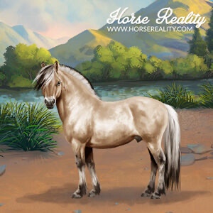 Fjord Horse