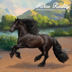 Friesian Horse