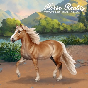 Haflinger Horse