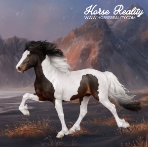 Icelandic Horse