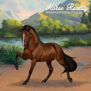 Lusitano