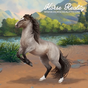 Mongolian Horse