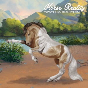 Mustang Horse