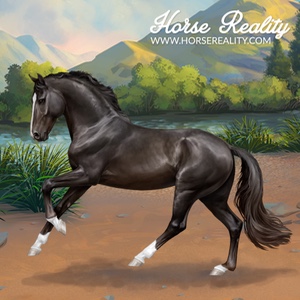 Oldenburg Horse