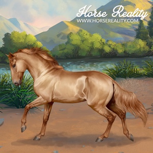 Pantaneiro Horse