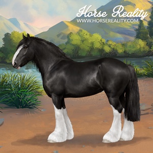 Shire Horse