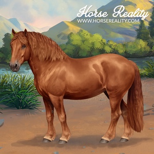 Suffolk Punch