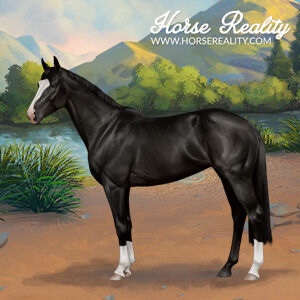 Thoroughbred