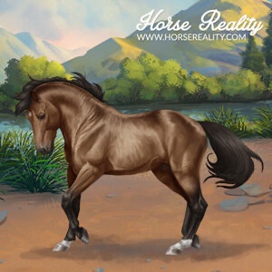 Trakehner Horse