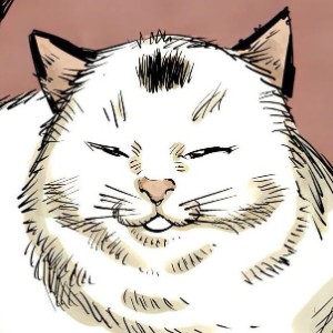 Meowy