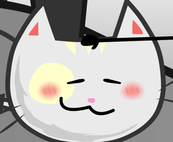 Gato