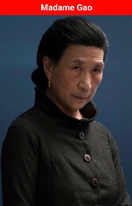 Madame gao