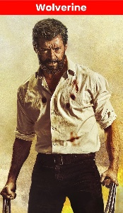 Wolverine