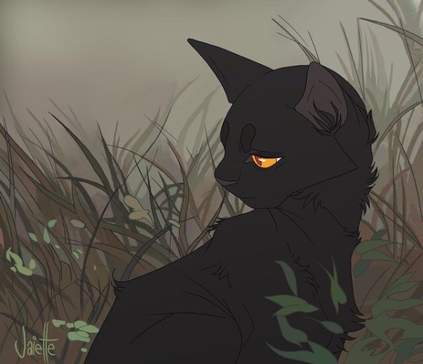 Breezepelt