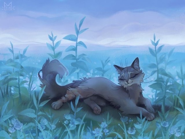 Cinderpelt