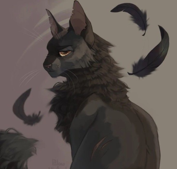 Crowfeather