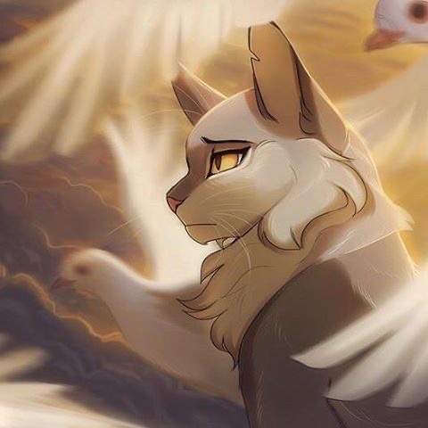 Dovewing