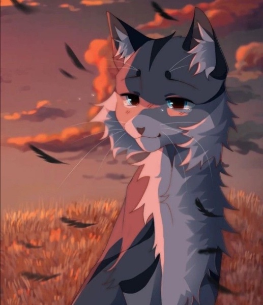 Feathertail