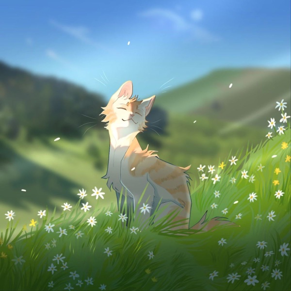 Heathertail