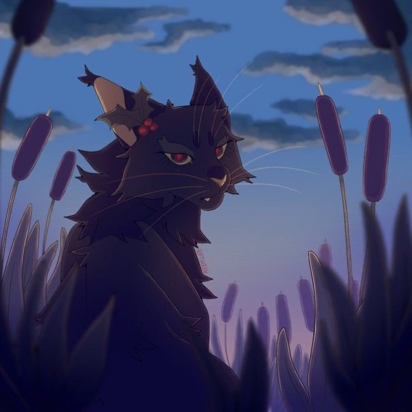 Hollyleaf
