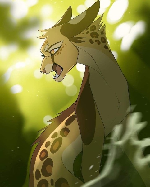 Leopardstar