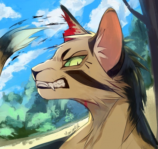 Longtail