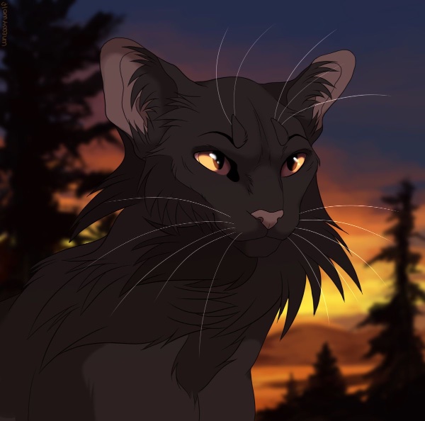 Nightcloud