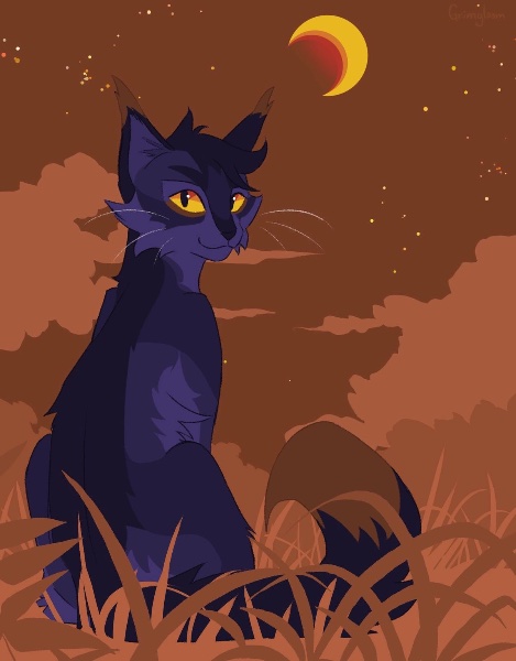 Nightpelt