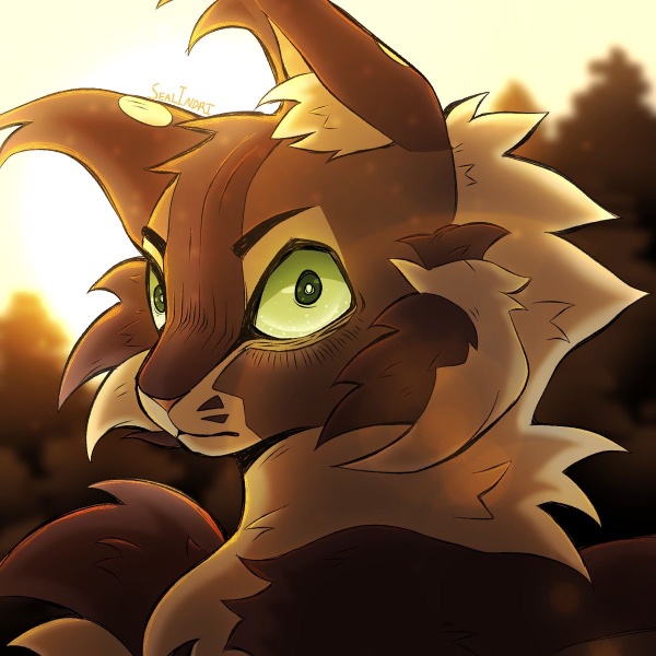 Raggedstar