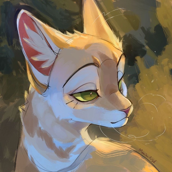 Sandstorm