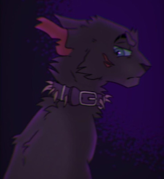Scourge
