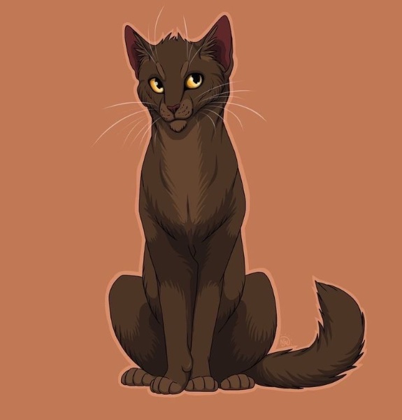 Shrewpaw